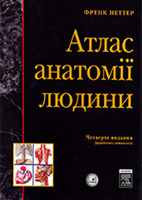 Atlas of Human Anatomy (2nd and 4th ed.) 