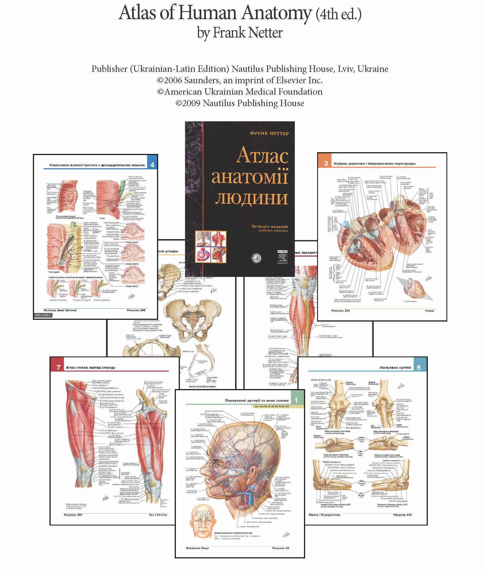 atlas-of-human-anatomy-1